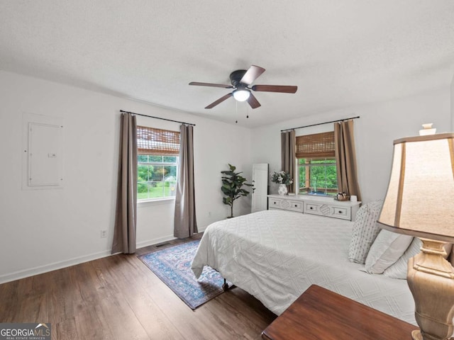 150 Archer Rd, Colbert, GA 30628 - bedroom with multiple windows, electric panel, wood finished floors, baseboards, and a textured ceiling