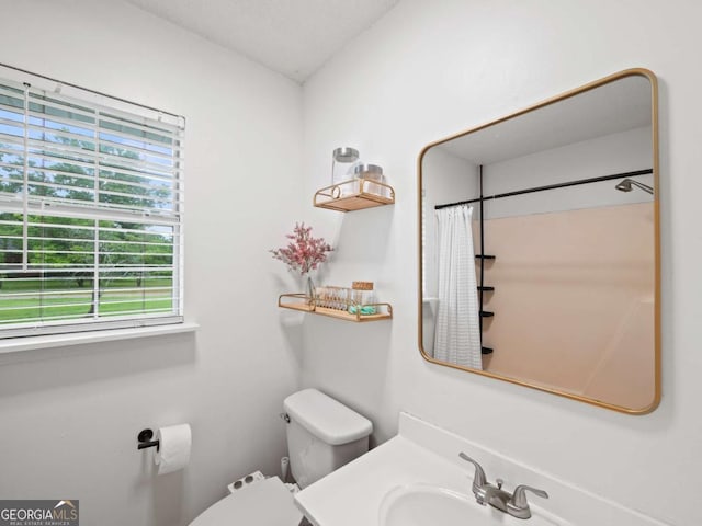 150 Archer Rd, Colbert, GA 30628 - bathroom featuring toilet, vanity, and a shower with shower curtain