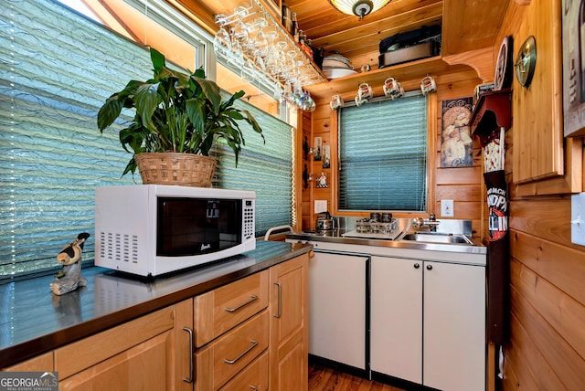 76 Hidden Valley Rd, Cleveland, GA 30528 - kitchen with white microwave, stainless steel counters, and dark wood-style flooring