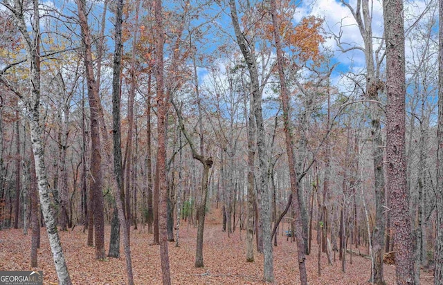 5766 Ridgewater Cir, Gainesville, GA 30506