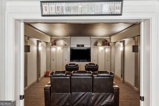 115 Hopewell Grove Dr, Milton, GA 30004 - cinema room featuring carpet floors, baseboards, and crown molding