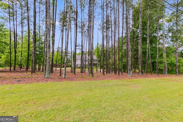 13 Westbrook Rd, Carrollton, GA 30116 - view of grassy yard