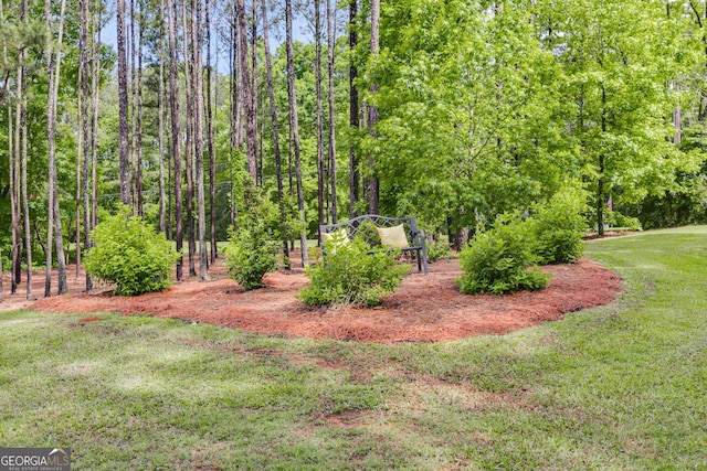 13 Westbrook Rd, Carrollton, GA 30116 - view of green lawn