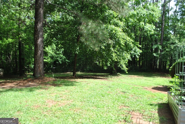 803 Pointe Trl, Locust Grove, GA 30248 - view of green lawn