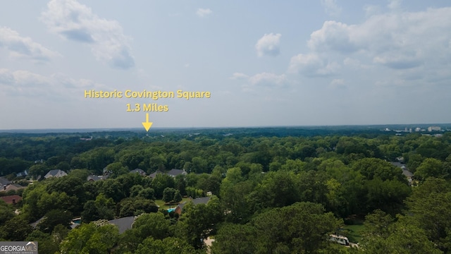 6214 Crestview Dr SE, Covington, GA 30014 - drone / aerial view of a forest
