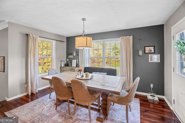 81 Maple Creek Dr, Newnan, GA 30263 - dining room featuring wood finished floors, healthy amount of natural light, baseboards, and a textured ceiling