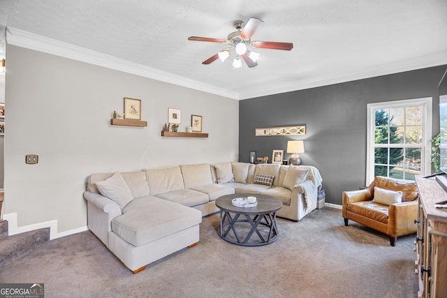 81 Maple Creek Dr, Newnan, GA 30263 - carpeted living room with ceiling fan, crown molding, and baseboards