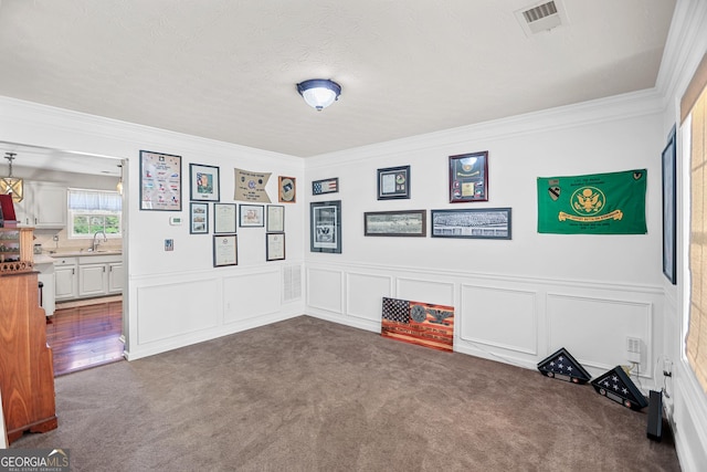 81 Maple Creek Dr, Newnan, GA 30263 - spare room featuring a sink, dark carpet, crown molding, a decorative wall, and wainscoting