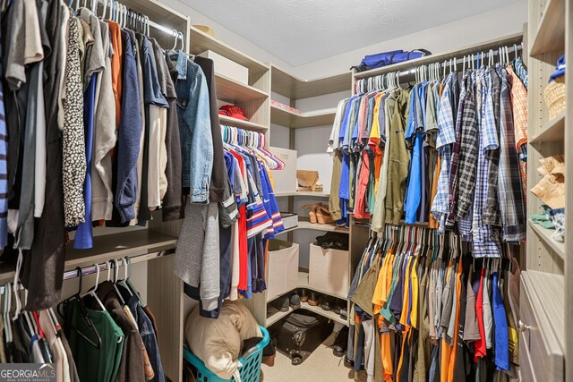 81 Maple Creek Dr, Newnan, GA 30263 - view of spacious closet