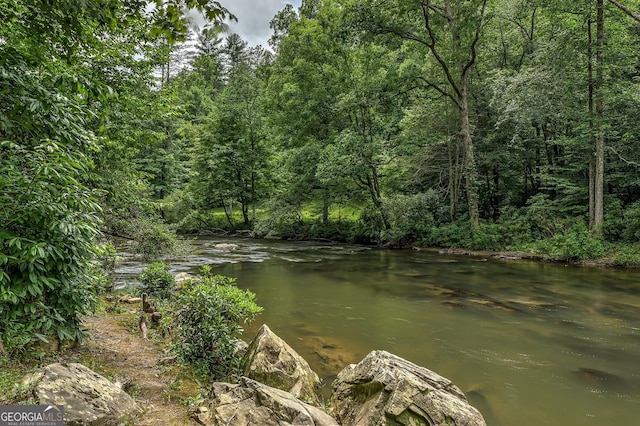 1061 Fir Ln, Ellijay, GA 30540 - water view with a forest