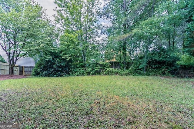 1706 Brandon Lee Way, Marietta, GA 30008 - view of yard