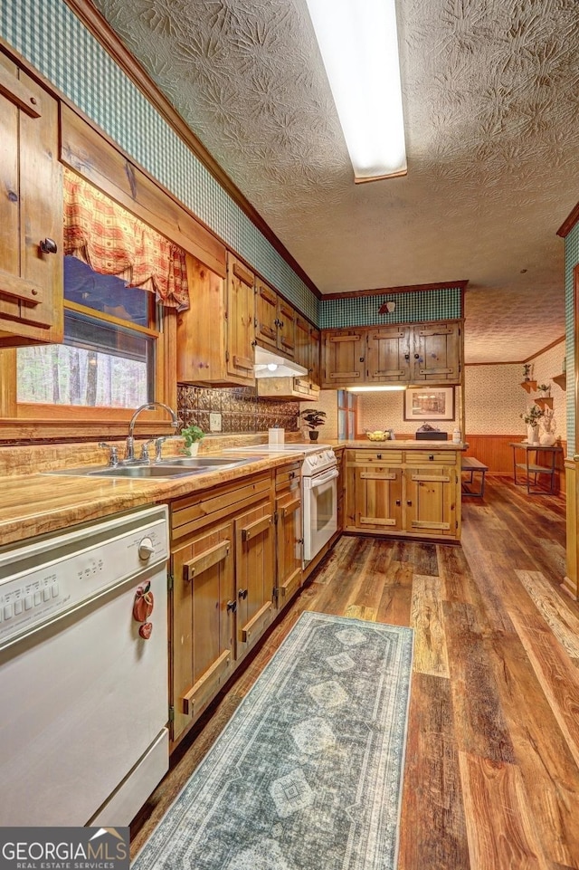 3452 Monica Ln SW, Conyers, GA 30094 - kitchen with white appliances, a sink, dark wood-style flooring, under cabinet range hood, and light countertops