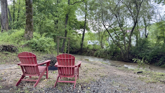 253 Yonah Valley Rd, Cleveland, GA 30528 - view of yard