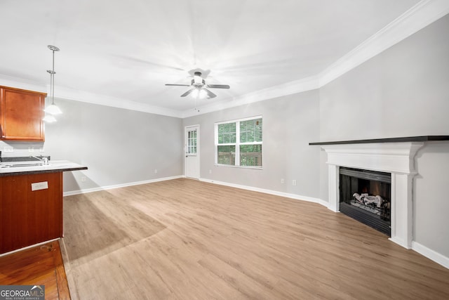 5057 Lower Elm St, Atlanta, GA 30349 - unfurnished living room featuring ceiling fan, light wood-style floors, crown molding, a fireplace, and baseboards