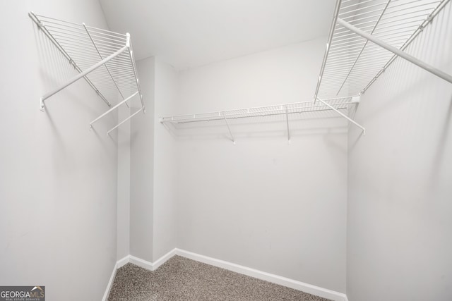 5057 Lower Elm St, Atlanta, GA 30349 - spacious closet featuring carpet