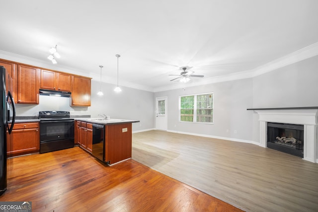 5057 Lower Elm St, Atlanta, GA 30349 - kitchen with black appliances, a peninsula, under cabinet range hood, ceiling fan, and open floor plan