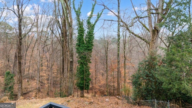 1506 Vine St NE, Gainesville, GA 30501 - view of tree filled area