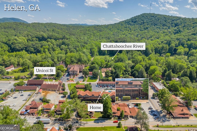 26-105 Midway Street Unit #108But Door #105, Helen, GA 30545 - aerial view of a heavily wooded area and a mountainous background