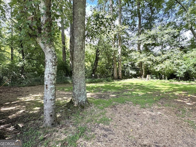 279 Leisure Acres Dr, Cleveland, GA 30528 - view of yard