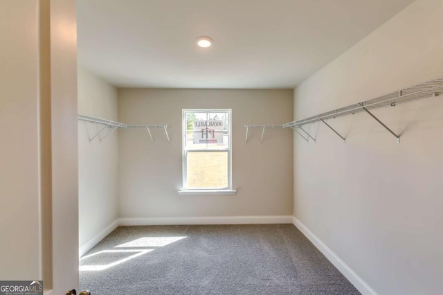 407 Shoals Trl, Dallas, GA 30132 - walk in closet featuring carpet flooring