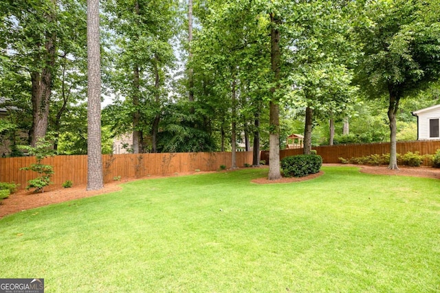 1596 Fearn Cir NE, Brookhaven, GA 30319 - view of yard