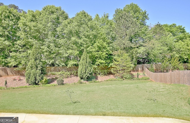 46 Horseshoe Bend Way, Senoia, GA 30276 - view of yard