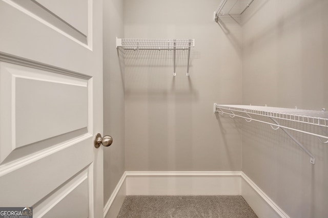 46 Horseshoe Bend Way, Senoia, GA 30276 - spacious closet with carpet