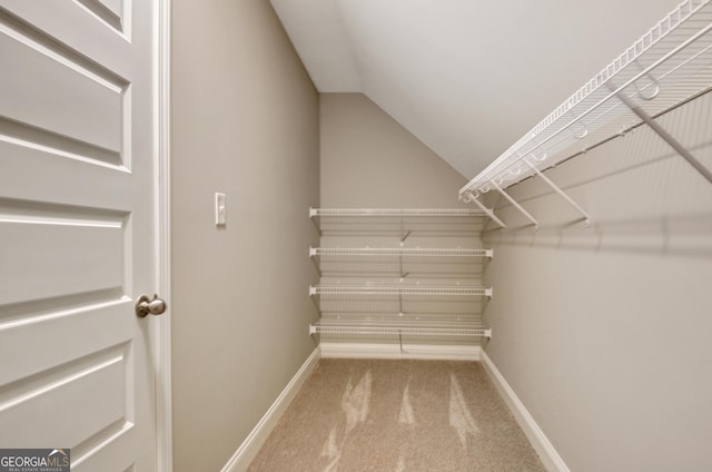 46 Horseshoe Bend Way, Senoia, GA 30276 - walk in closet with carpet and vaulted ceiling