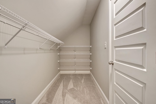46 Horseshoe Bend Way, Senoia, GA 30276 - spacious closet with carpet floors and vaulted ceiling