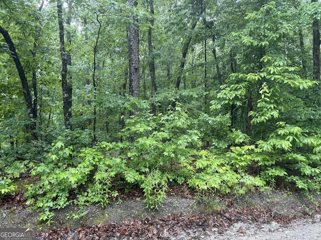 0 Vaughn Rd, Temple, GA 30179