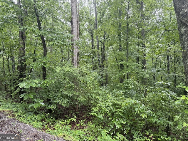 0 Vaughn Rd, Temple, GA 30179