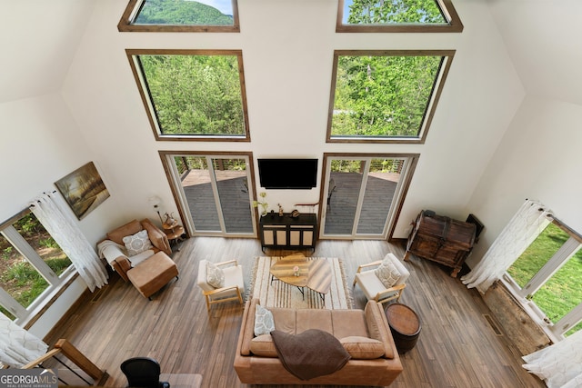 457 Monroe Ridge Rd, Sautee Nacoochee, GA 30571 - living room featuring high vaulted ceiling and wood finished floors