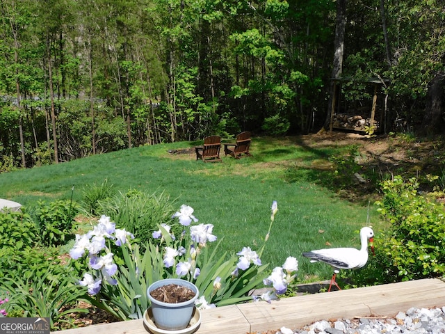 457 Monroe Ridge Rd, Sautee Nacoochee, GA 30571 - view of green lawn