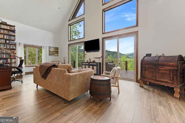 457 Monroe Ridge Rd, Sautee Nacoochee, GA 30571 - living area with high vaulted ceiling and wood finished floors