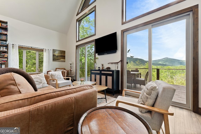 457 Monroe Ridge Rd, Sautee Nacoochee, GA 30571 - living room with high vaulted ceiling and light wood-style floors