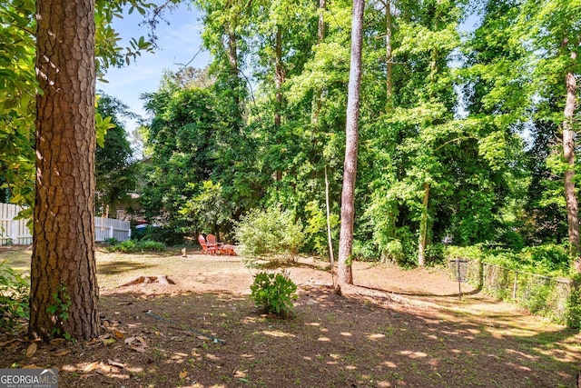 4259 Kings Troop Rd, Stone Mountain, GA 30083 - view of yard