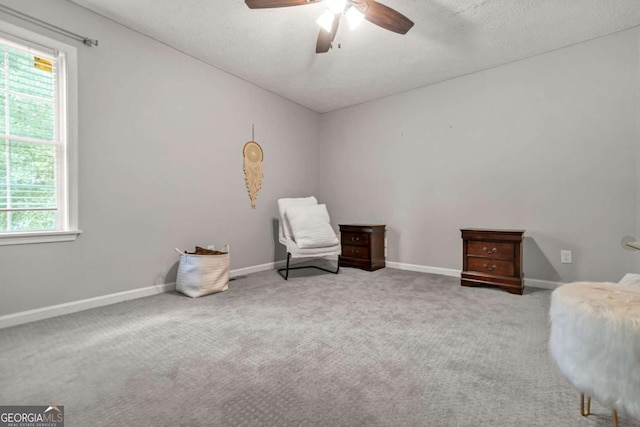2959 Pritchards Mill Trl, Douglasville, GA 30135 - living area featuring a ceiling fan, carpet, a textured ceiling, and baseboards