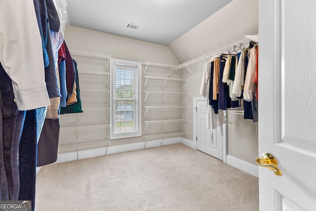 160 Torrey Pines Ct, Newnan, GA 30265 - walk in closet with carpet and lofted ceiling