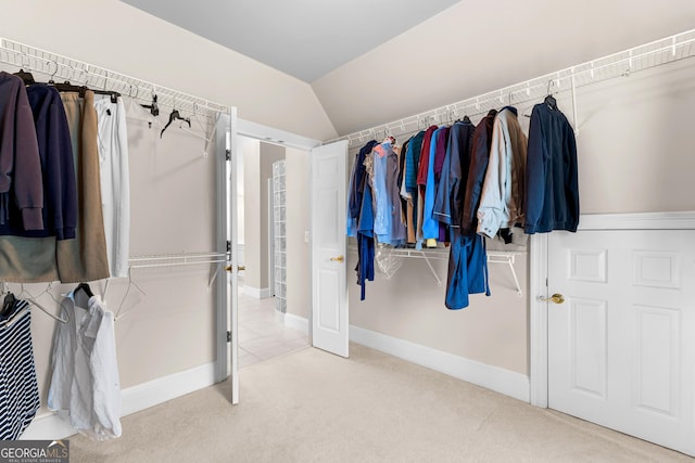 160 Torrey Pines Ct, Newnan, GA 30265 - spacious closet with carpet floors and lofted ceiling