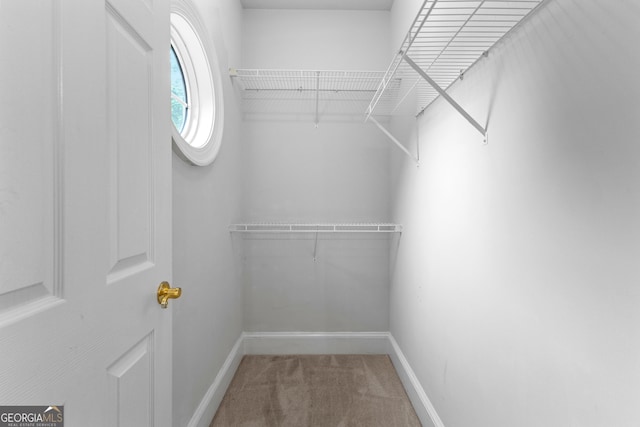 160 Torrey Pines Ct, Newnan, GA 30265 - walk in closet with carpet floors