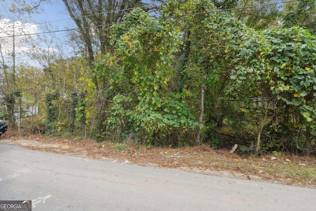 4442 Mclain Cir, Acworth, GA 30101 - view of asphalt road