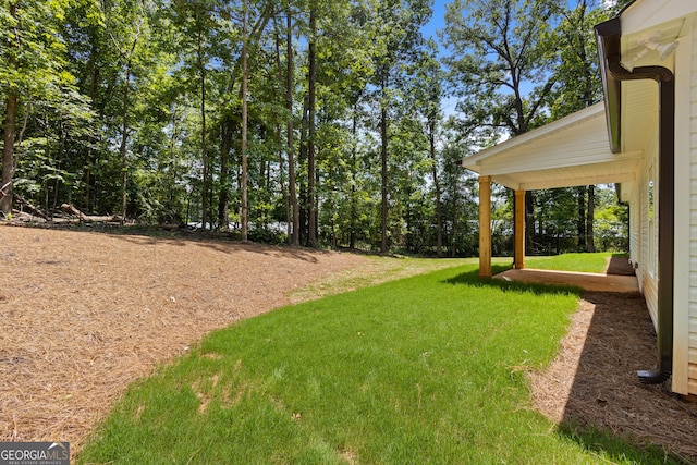 560 Coots Lake Rd, Rockmart, GA 30153 - view of green lawn