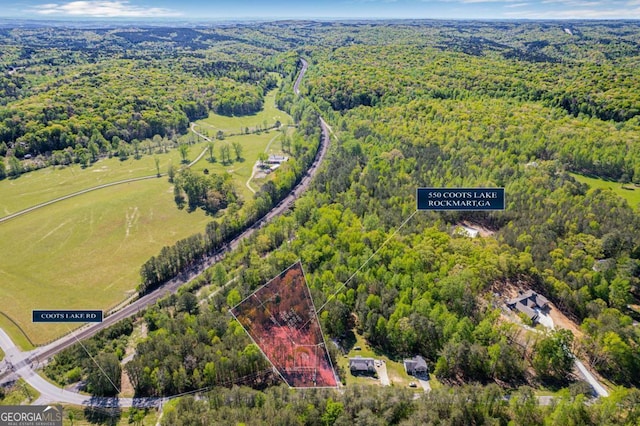 560 Coots Lake Rd, Rockmart, GA 30153 - aerial view of a forest