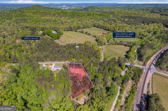 560 Coots Lake Rd, Rockmart, GA 30153 - aerial view of a forest