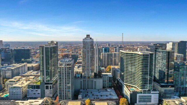 855 Peachtree St NE Unit 1703, Atlanta, GA 30308 - view of city