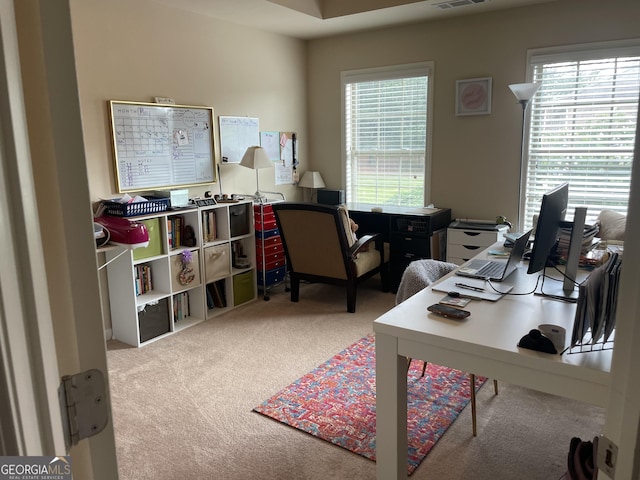 805 Pleasant Hill Rd NW Unit 53, Lilburn, GA 30047 - office featuring carpet floors