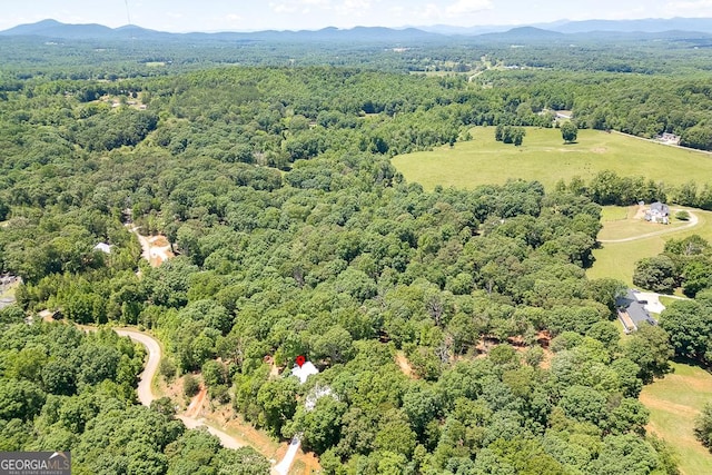 139 Maple Ridge Dr, Cleveland, GA 30528 - drone / aerial view of a heavily wooded area and a mountainous background