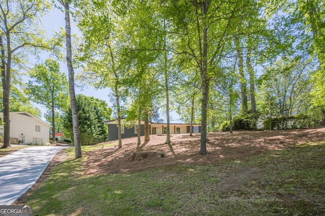 3350 Pine Meadow Rd NW, Atlanta, GA 30327 - view of yard featuring driveway