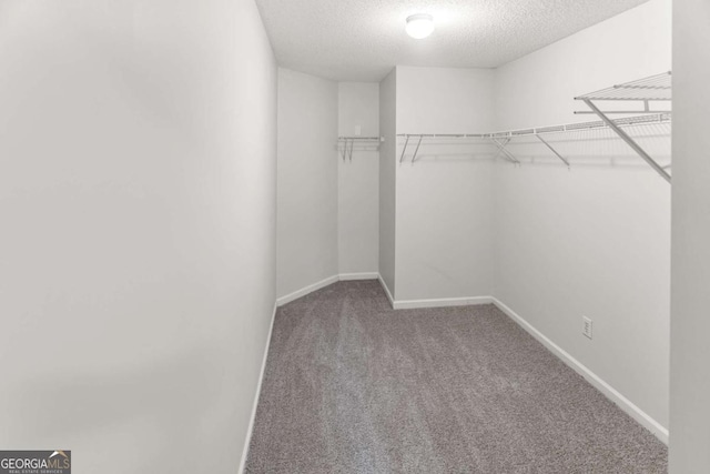 3134 Imperial Cir SW, Atlanta, GA 30311 - walk in closet with carpet floors