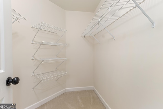 140 Longwater Cv, Roswell, GA 30075 - spacious closet with light colored carpet